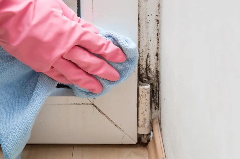 black mold